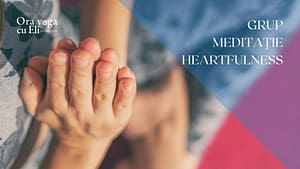 Workshop meditatie heartfulness - Sattva Yoga Center