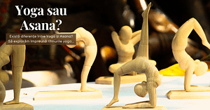 Există diferențe între Yoga și Asana?